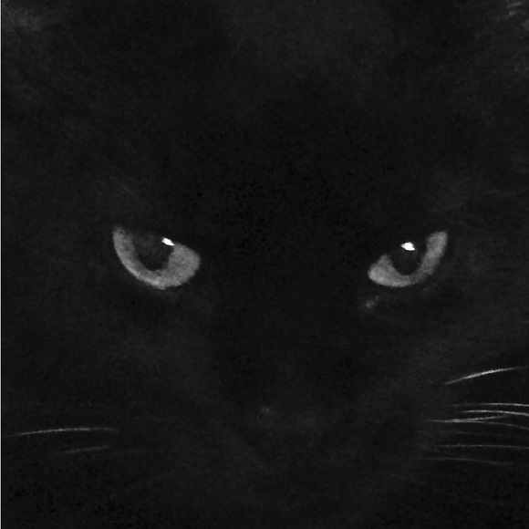 Meet your Posher, Susan - Picture 1 of 3